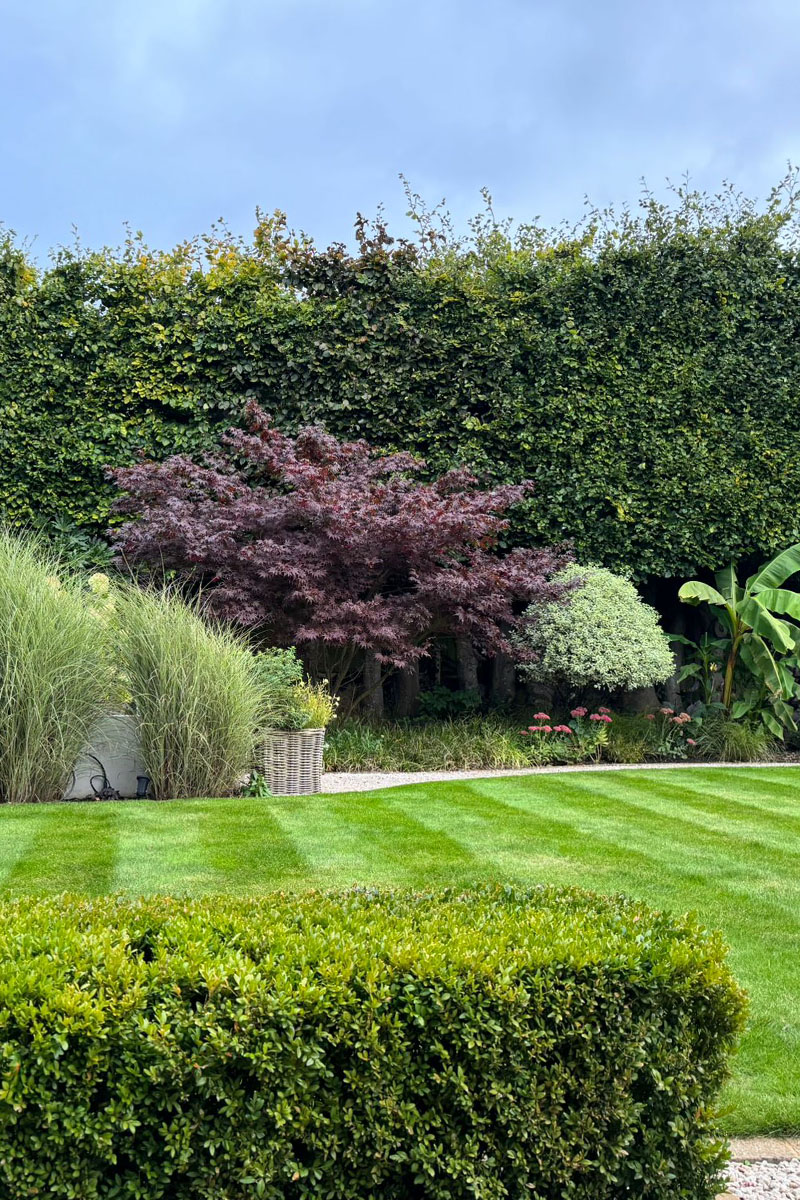 The Art of Gardens Hedge Cutting & Shrub Shaping