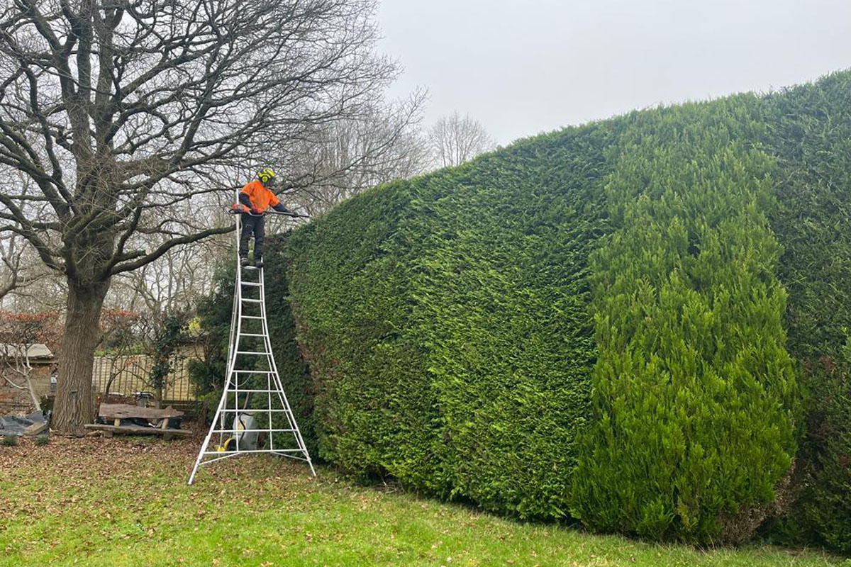The Art Of Gardens -img02