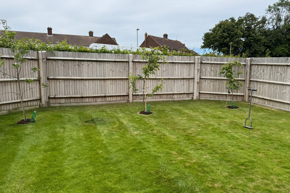 The Art Of Gardens -img08
